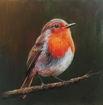 Tomasz Bednarski (1965) - Robin