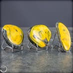 Natuurlijke Bumblebee Jaspis Palmstenen Set – intensief