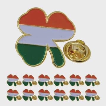 Ierse Klavertje Vier Speldjes - St. Patrick's Day - 5, 10, 5, Verzenden, Nieuw
