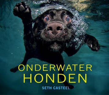 Onderwaterhonden - Seth Casteel 9789089753908, Verzenden, Gelezen, Seth Casteel