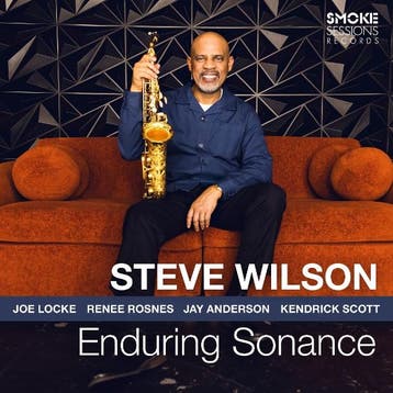 lp nieuw - steve wilson - ENDURING SONANCE (nieuw), Verzenden, Zo goed als nieuw, Overige formaten