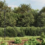 vidaXL Draadgaashek 1,4x10 m gegalvaniseerd staal, Verzenden, Nieuw, IJzer