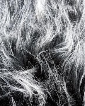 Imitatie Bont Langharig Black Frost, Nieuw, Zwart