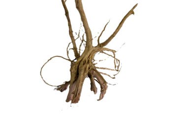 Driftwood Selected dw41 60x28x30cm (Small drift wood), Ophalen of Verzenden, Nieuw, Plant(en), Steen of Hout