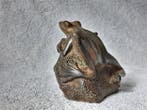 Pierre Chenet (XX-XXI) - sculptuur, La Grenouille sur sa