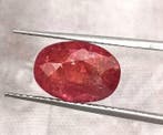 1 pcs Rood Robijn - 3.48 ct - International Gemological, Nieuw
