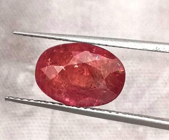 1 pcs Rood Robijn - 3.48 ct - International Gemological, Sieraden, Tassen en Uiterlijk, Edelstenen
