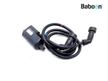 Bobine Yamaha XJ 900 S Diversion 1995-2004 (XJ900 XJ900S, Motoren, Verzenden, Gebruikt