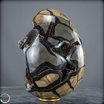 Septarien calciet geode ei – monumentaal luxeobject uit