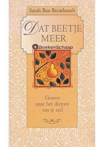 Dat beetje meer - Sarah Ban Breathnach 9789022525937, Verzenden, Gelezen, Sarah Ban Breathnach