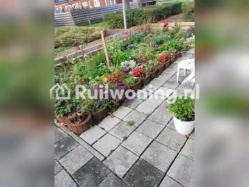 Huis in Nieuwe Pekela, 80 m², 2 kamers, Huizen en Kamers