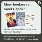 Prenten van Holland / Moldaviet / 7 9789078068242, Verzenden, Gelezen, Karel Capek