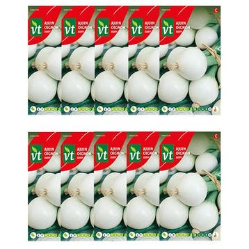 Lente ui zaad | VT | 10 stuks (Bosaardbei), Verzenden