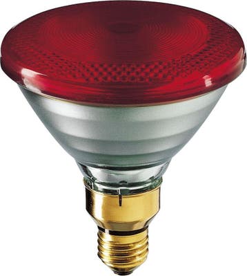 Philips Infraroodlamp met reflector - 60053015, Verzenden, Nieuw, Overige typen