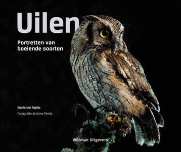 Uilen - Marianne Taylor 9789048310319, Boeken, Verzenden, Zo goed als nieuw, Marianne Taylor