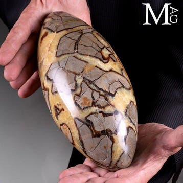 Indrukwekkende septarian Dragon Stone Shiva Lingam -, Verzamelen