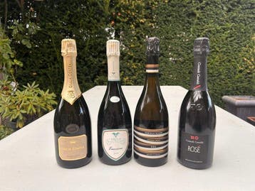 2016 Giulia Contea Brut, 2016 Villa, 2016 Emozione, Famiglia, Nieuw