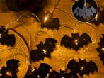 Halloween led slinger vleermuis lichtketting 2 meter 10, Ophalen of Verzenden, Nieuw
