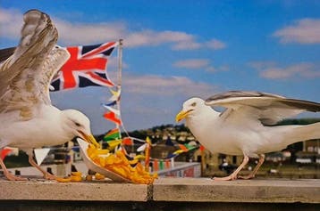 Martin Parr - West Bay, Dorset, England, 1996