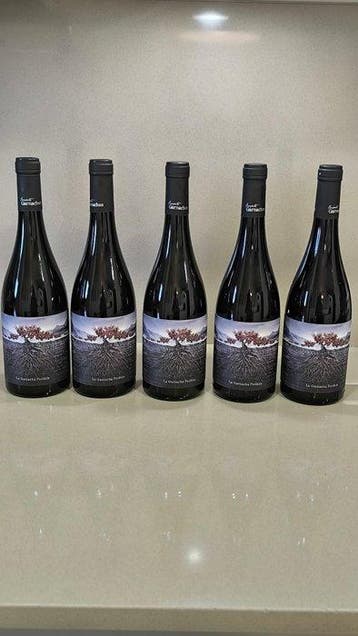 2022 Proyecto Garnachas - Grupo Vintae, La Garnacha Perdida, Nieuw