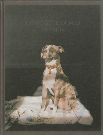 Paradis - Charlotte Dumas 9789089101365, Verzenden, Zo goed als nieuw, Charlotte Dumas