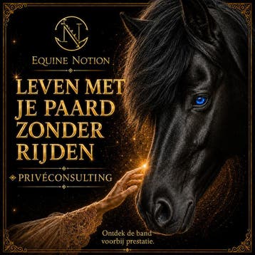 Leven met je paard zonder rijden · Privéconsulting, Stalling of Weidegang