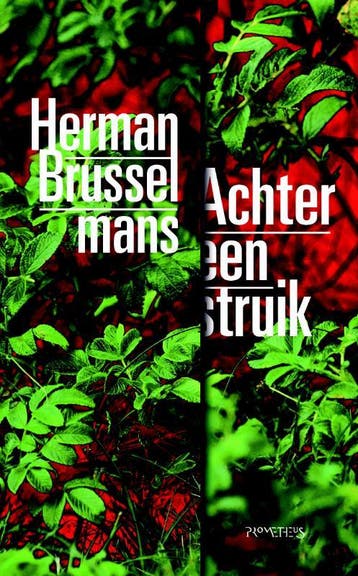 Achter een struik - Herman Brusselmans 9789044637564, Verzenden, Gelezen, Herman Brusselmans