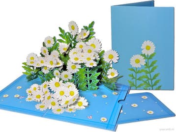 Prachtig Bloeiende Margrieten Bloemen Pop-up Wenskaart, Verzenden, Nieuw