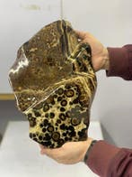 LEOPARD JASPER Vrije vorm - Hoogte: 33 cm - Breedte: 17.5