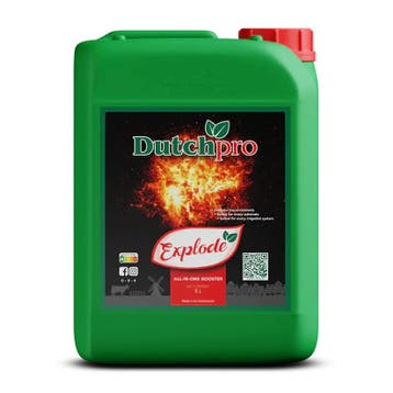 DutchPro Explode | Bloom Booster