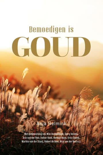 Bemoedigen is Goud - Anja Helmink 9789083117348, Boeken, Verzenden, Zo goed als nieuw, Anja Helmink