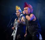 The Casualties Tickets Paard Te Koop