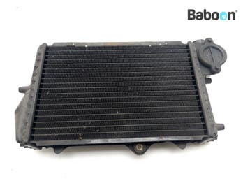 Radiateur BMW K 1100 RS 1992-1996 (K1100RS) (1464569), Motoren, Verzenden, Gebruikt