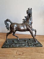 Isidore Bonheur (1827-1901) - Beeld, Paard - 23 cm - Brons