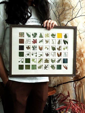 Bladeren van diverse planten Taxidermie volledige montage -