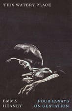 9780745350141 This Watery Place Emma Heaney, Verzenden, Nieuw, Emma Heaney