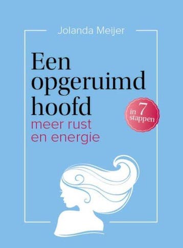 9789491757327 Een opgeruimd hoofd in 7 stappen, Boeken, Verzenden, Zo goed als nieuw, Jolanda Meijer