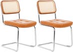 Eetkamerstoelen - Set van 2 - Metaal / Rotan - Bruin, Huis en Inrichting, Stoelen, Verzenden, Zo goed als nieuw