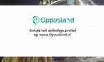 Ik ben Danique, 19 jaar oud en ik zoek oppaswerk in Bergs...