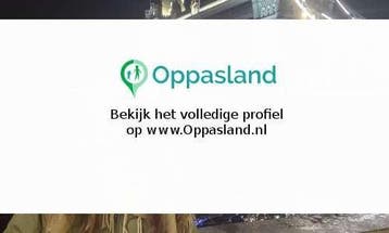 Ik ben Danique, 19 jaar oud en ik zoek oppaswerk in Bergs...
