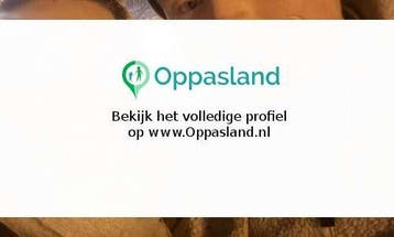 Sietske zoekt een oppas in Hilversum voor 1 kind., Vacatures