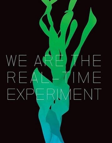 We Are the Real Time Experiment - Lewis Biggs 9781846312298, Verzenden, Zo goed als nieuw, Lewis Biggs