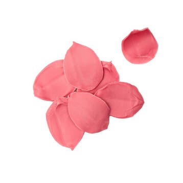 BrandNewCake Chocoladedecoratie Rozenblaadjes 20st., Verzenden, Nieuw
