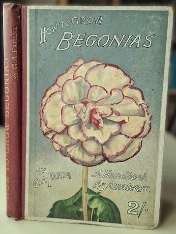 G. A. Farini - How to Grow Begonias - 1896