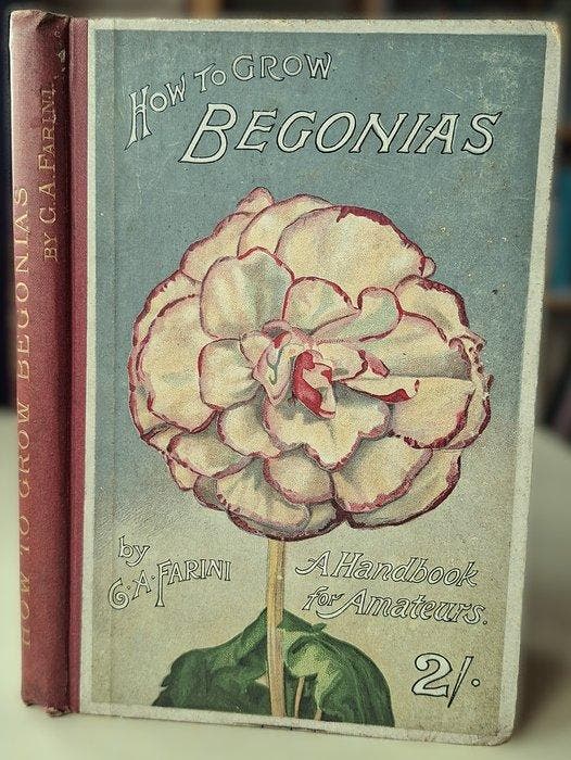 G. A. Farini - How to Grow Begonias - 1896, Antiek en Kunst, Antiek | Boeken en Bijbels