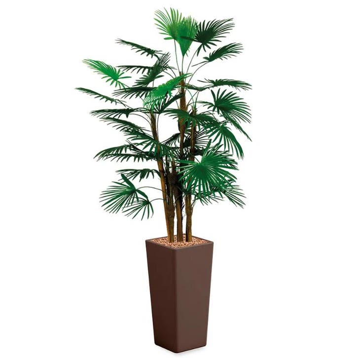 Rhapis Palm kunstplant, H185cm, Huis en Inrichting, Kamerplanten, Palm, 150 tot 200 cm, Ophalen of Verzenden