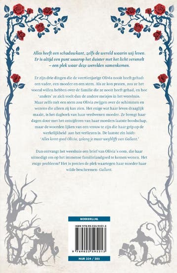 Gallant 9789022595213 V.E. Schwab, Verzenden, Zo goed als nieuw, V.E. Schwab