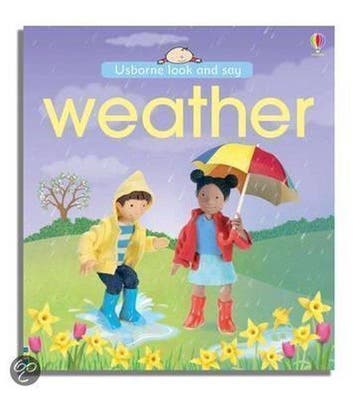 Weather - Felicity Brooks 9780746088135, Verzenden, Gelezen, Felicity Brooks