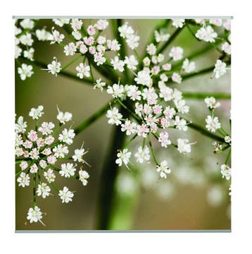 Romy Outdoor TextielPoster fotoprint 95x95cm, Tuin en Terras, Verzenden, Nieuw