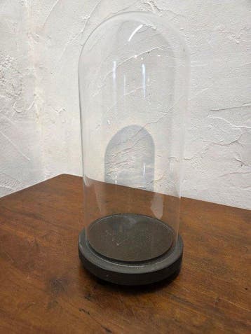 Globe - stolp - antiek - 1901-1920 - Antieke ronde stolp op